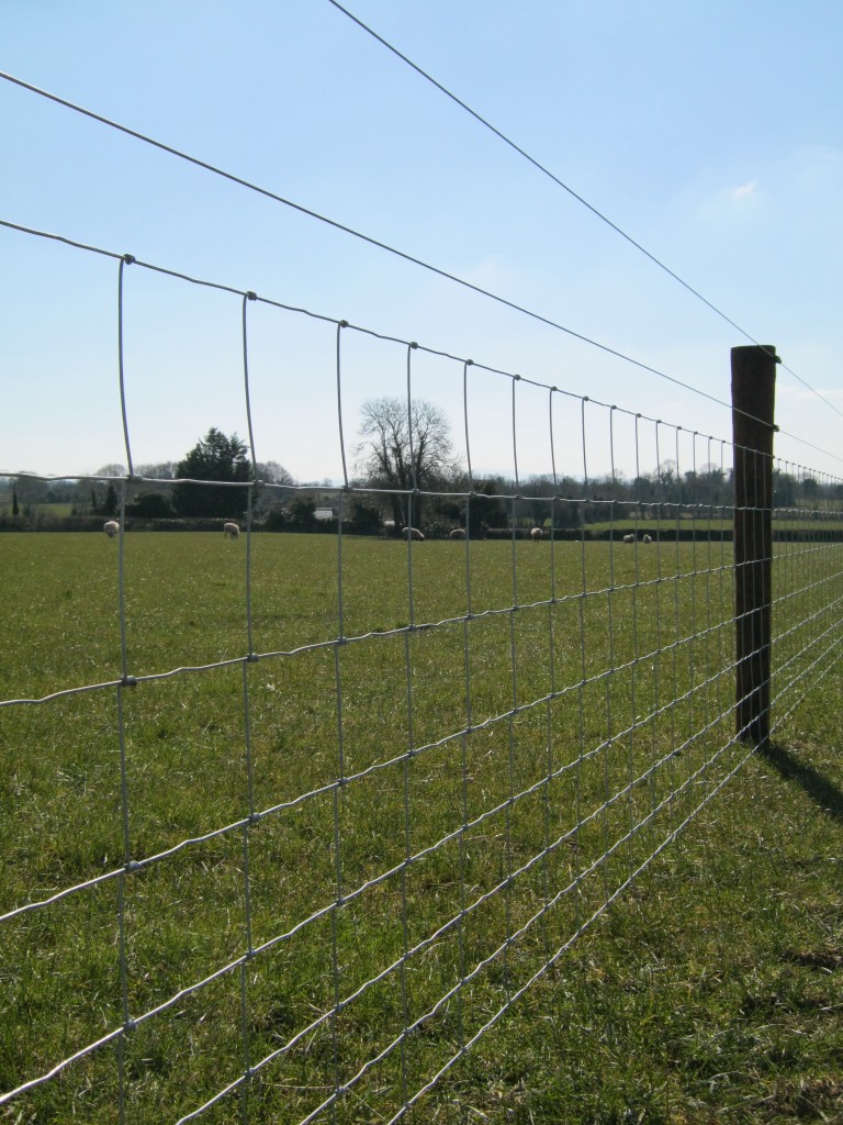 Sheep wire with electric wire FRS Fencing