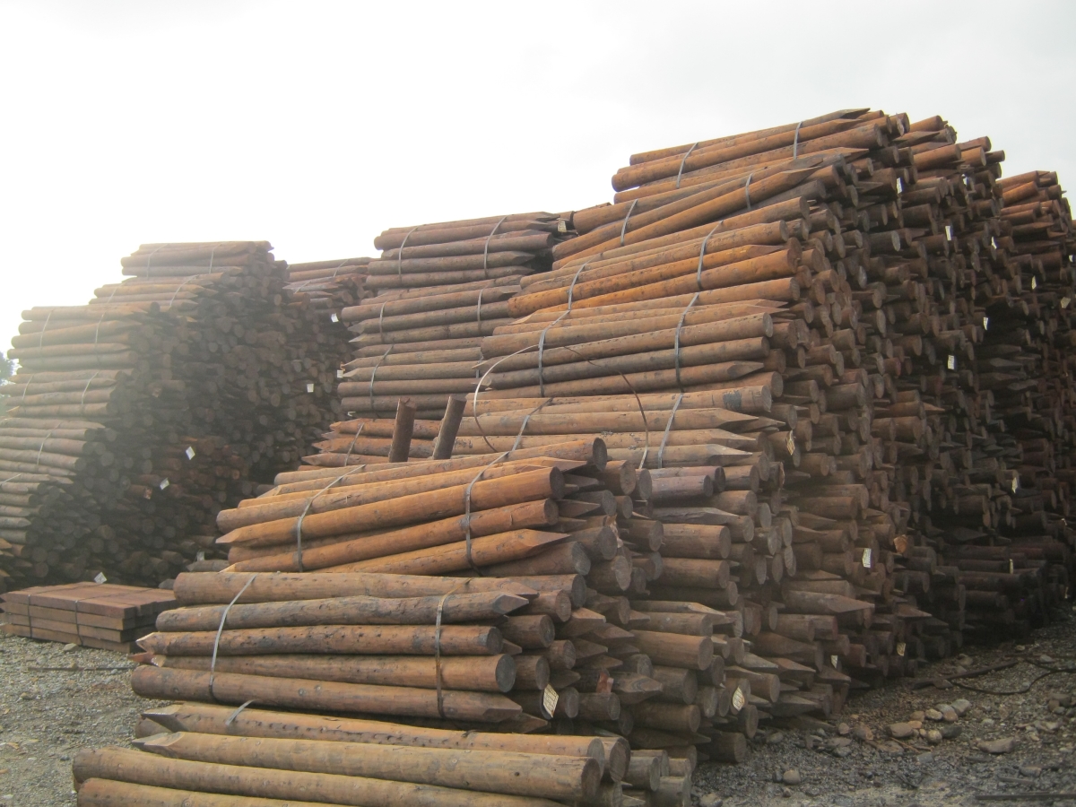 Long Life Creosote Posts FRS Fencing